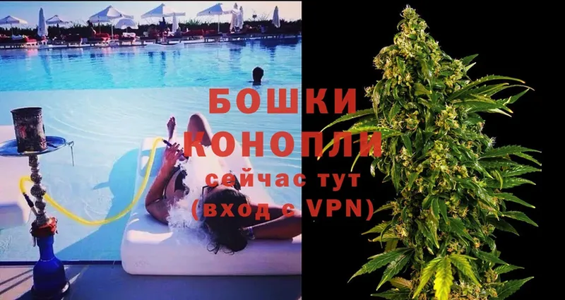 наркота  Пыталово  Конопля SATIVA & INDICA 